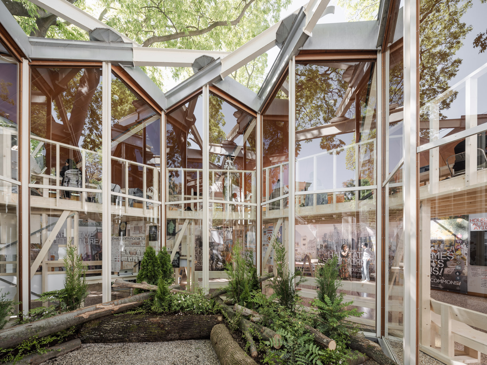 Interior view of Canada pavilion in Venice with cedar log planters holding cedars and ferns.
