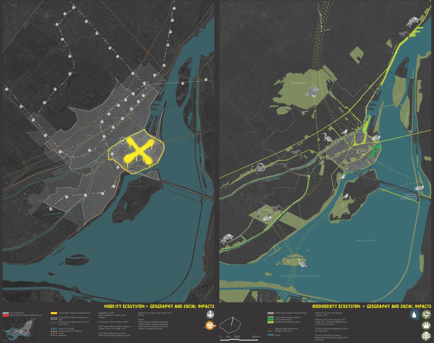 Split page showing two maps, one on the left describing transit connections for Pointe Sainte-Charles and the one on the right mapping migration patterns for animals in relation to greenspace.