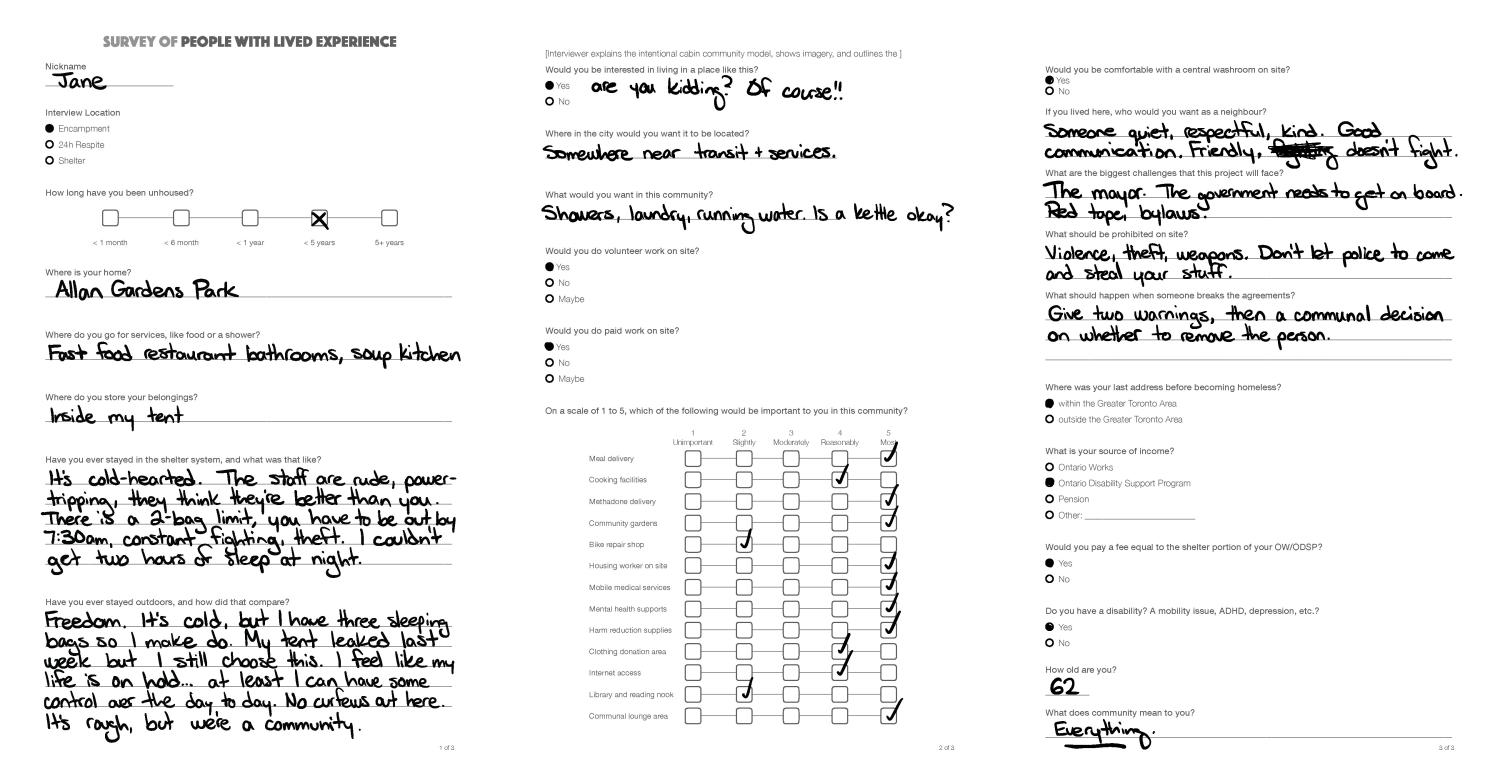 Three page survey of person with lived experience