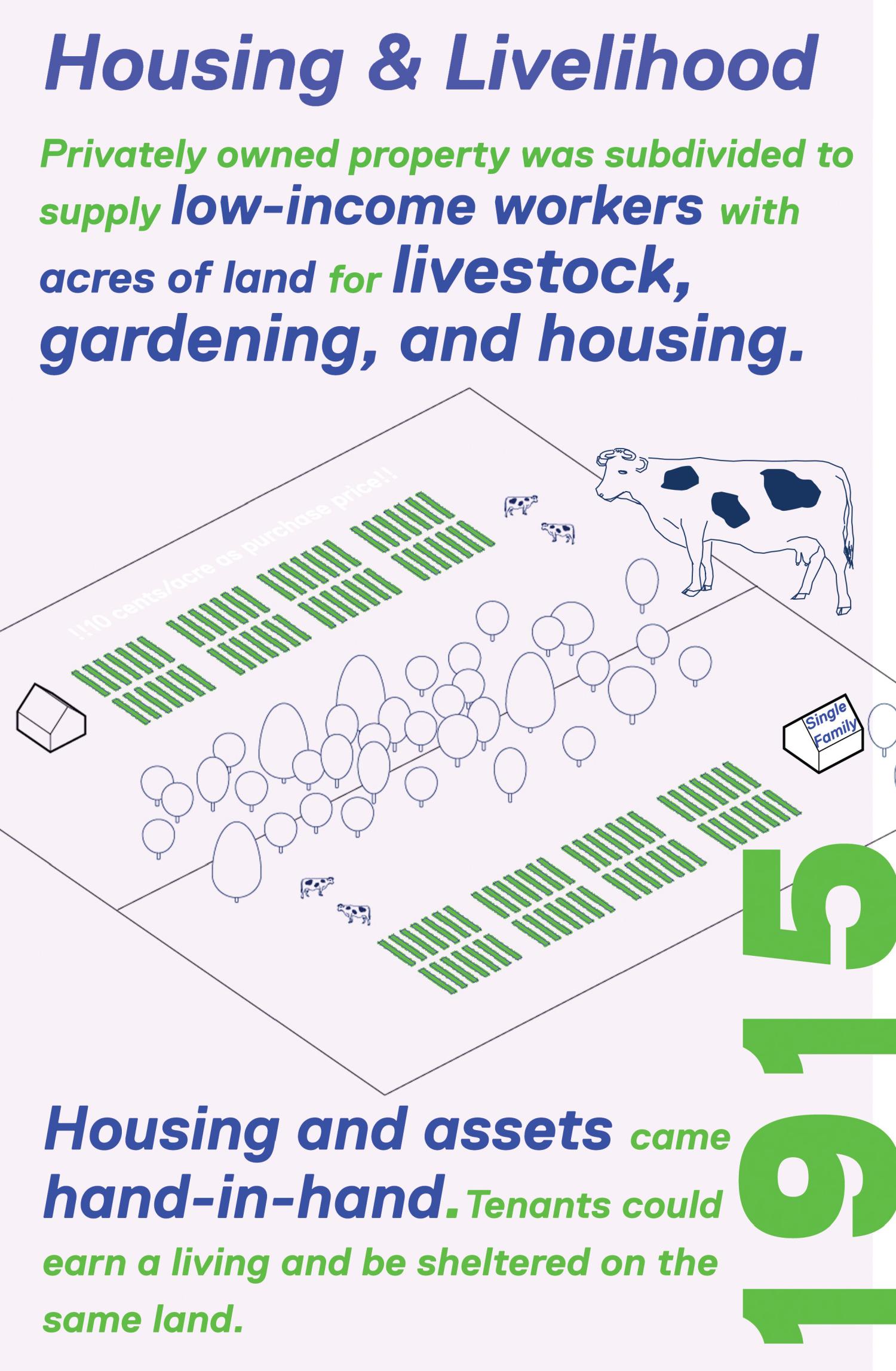 Poster describing how in 1915, housing and assets came hand in hand through the allocation of farmable land for livestock and gardening. Central graphic is a drawing of a farmer's field with several cows grazing.